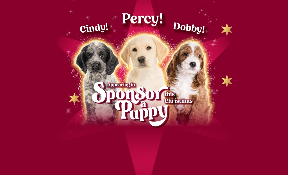 Silent Night Sponsor a Puppy