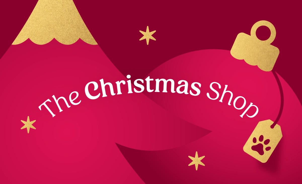 The Christmas Shop